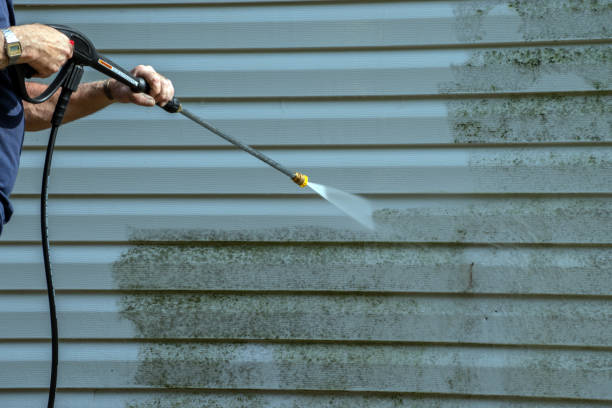 Best Graffiti Removal  in Owensville, MO