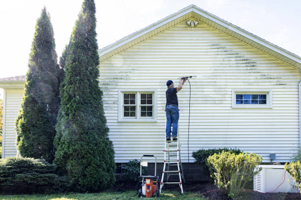Best Roof Washing  in Owensville, MO
