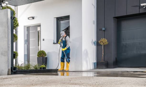 Best Rust Removal  in Owensville, MO